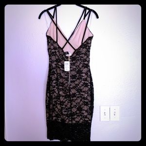 NWT Windsor black/tan lace sequin low back dress